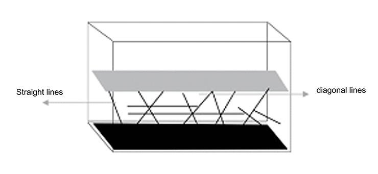 linear arrangement of the right side