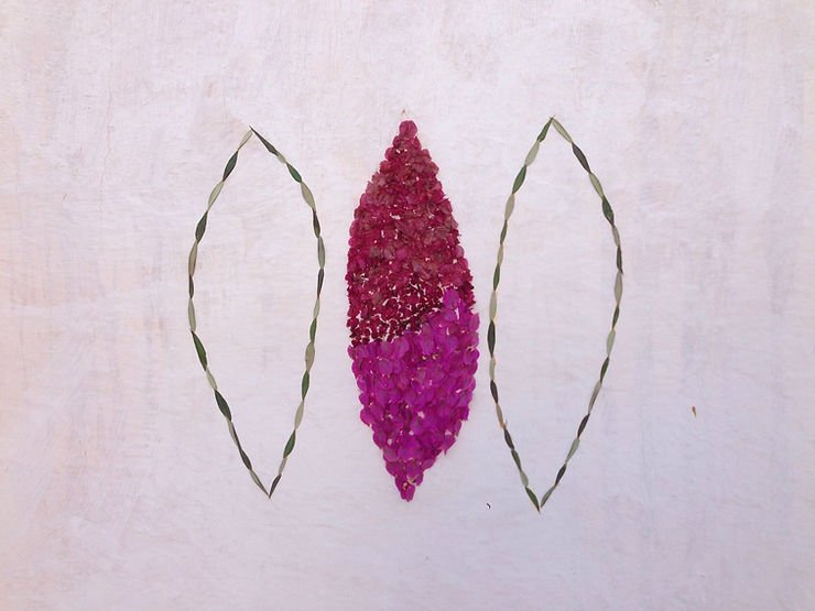 Outside#LAZIZA, 2015                                                   olive leaves and bougainvillea flowers 100 x 60 cm